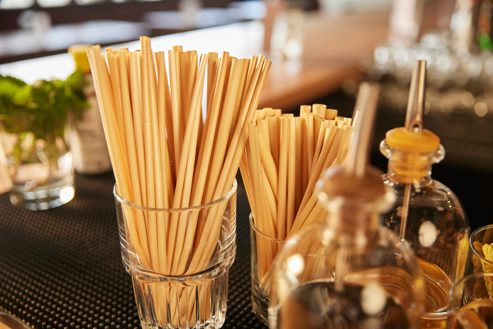 Plant-based straws replacing plastic straws for US and Canada regulations