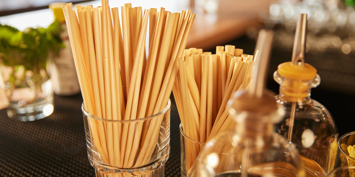 Eco Straws A Restaurant Buyer’s Guide to Plasticfree Bar Supplies
