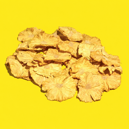 Pile of dehydrated pineapple slices for cocktail garnishes on a yellow background
